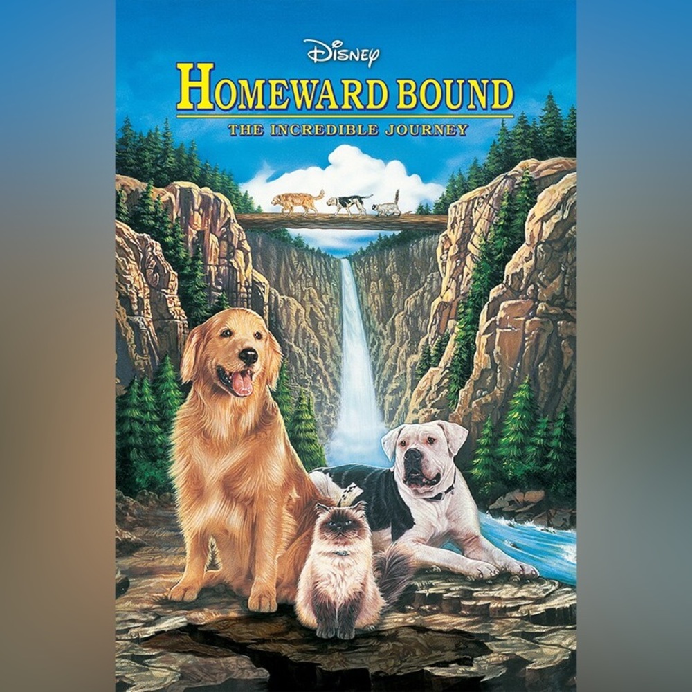 DISNEY’S HOMEWARD BOUND DVD